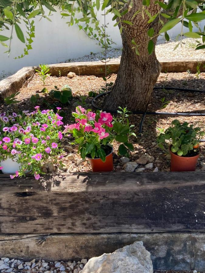 Javea Villa Entiere Piscine Et Cuisine D'Ete A Pinosol Bagian luar foto